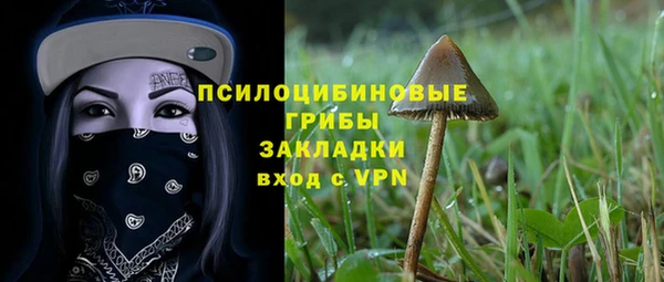 синтетический гашиш Богородск